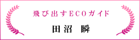 飛び出すECOガイド